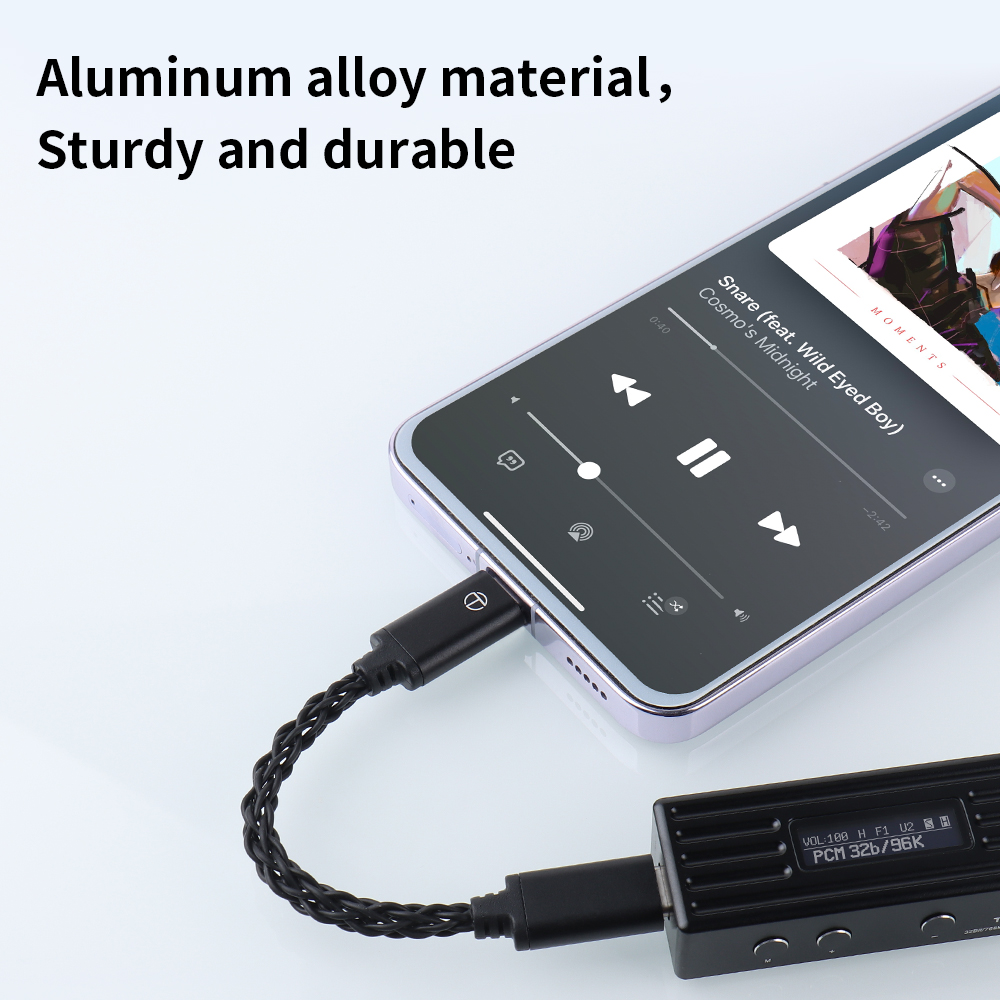 TRN To Conversion Line Type-C  - đánh giá và giá Usb C Earphone